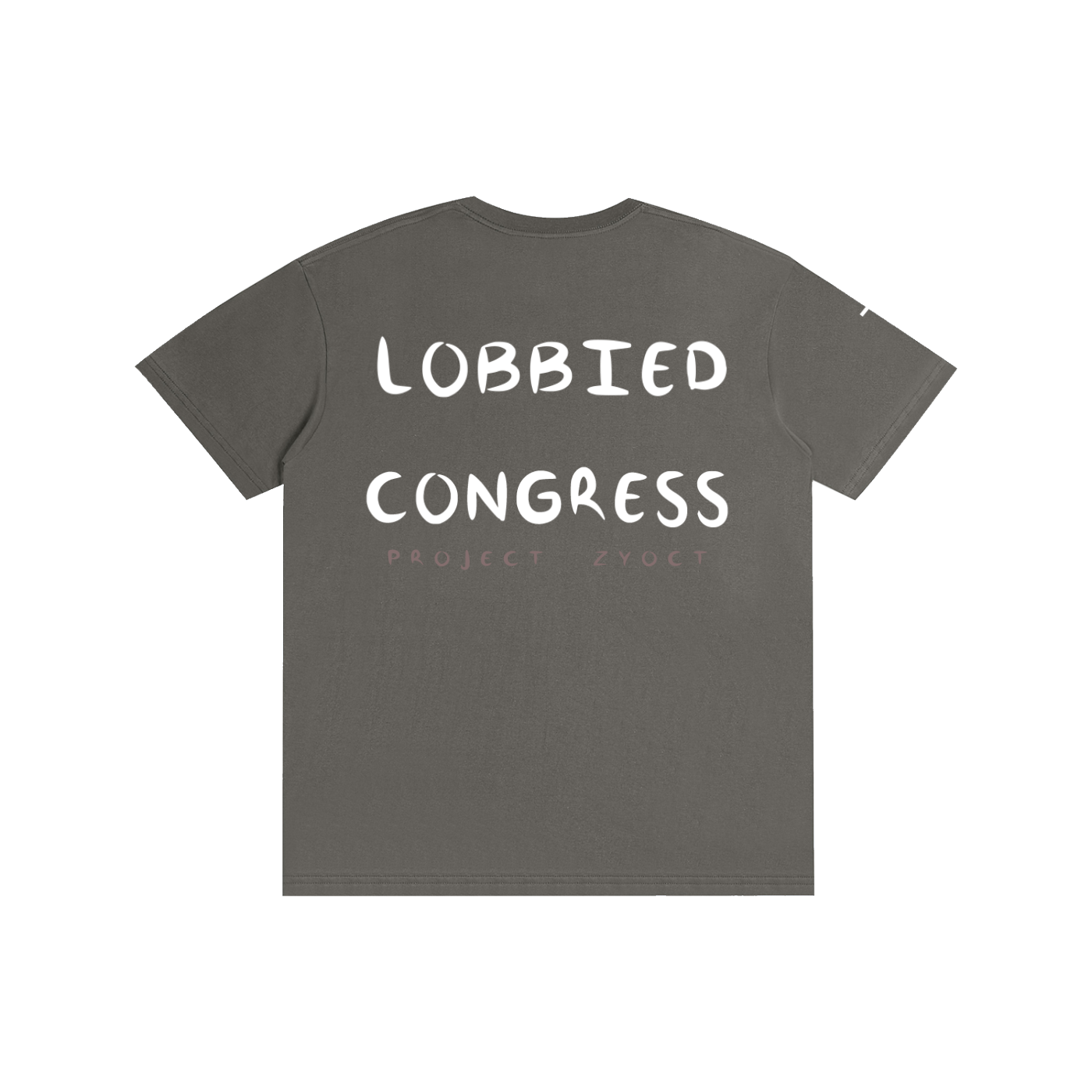 LOBBIED CONGRESS.