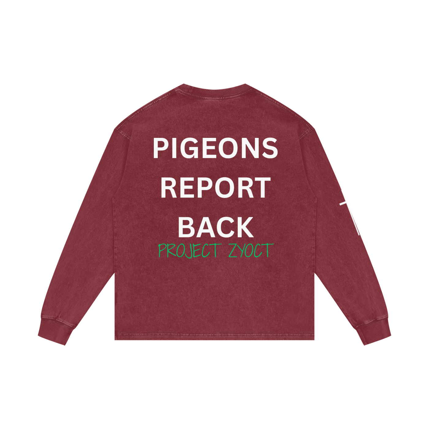 "Pigeons Report Back" Acid Wash Long Sleeve