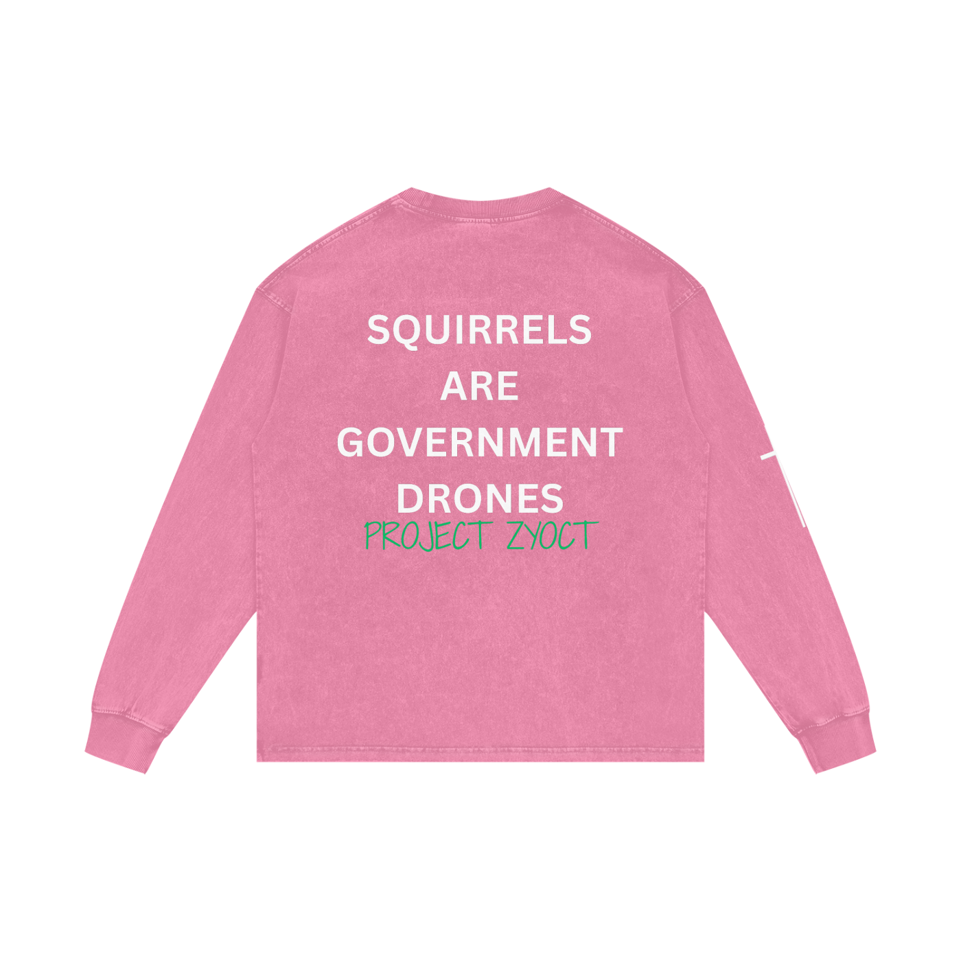 "Squirrels Are Government Drones" Acid Wash Long Sleeve
