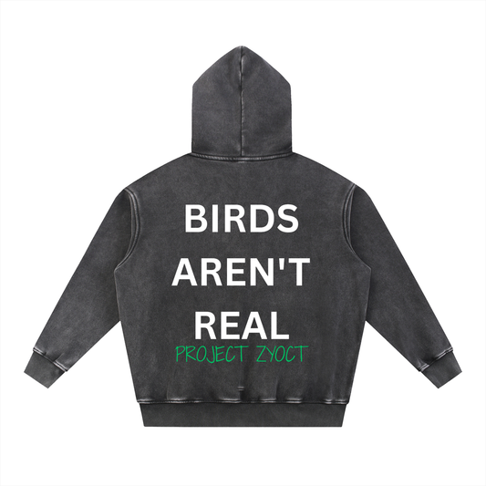 "Birds Aren't Real" Snow Wash Oversize Hoodie