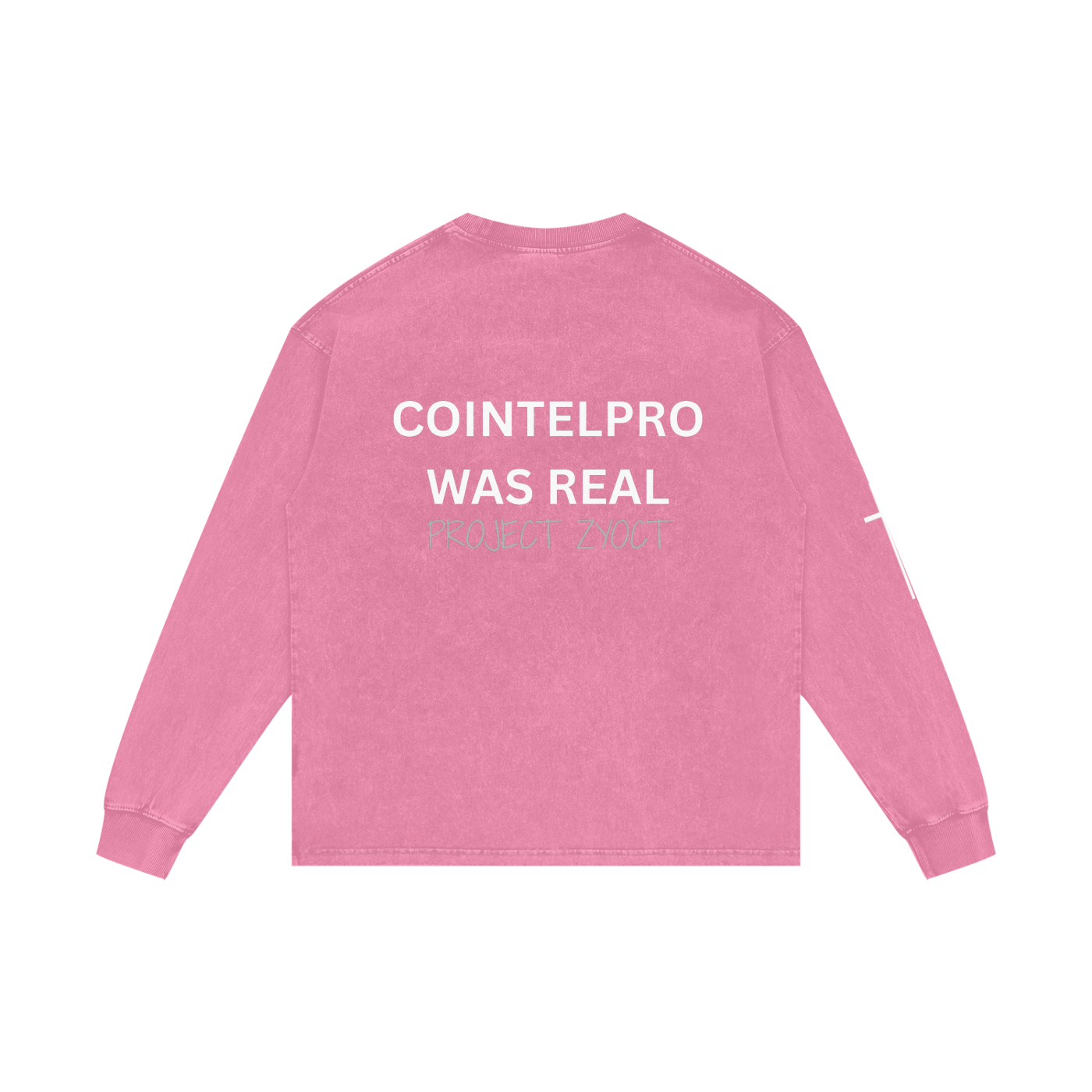 "COINTELPRO Was Real" Acid Wash Long Sleeve