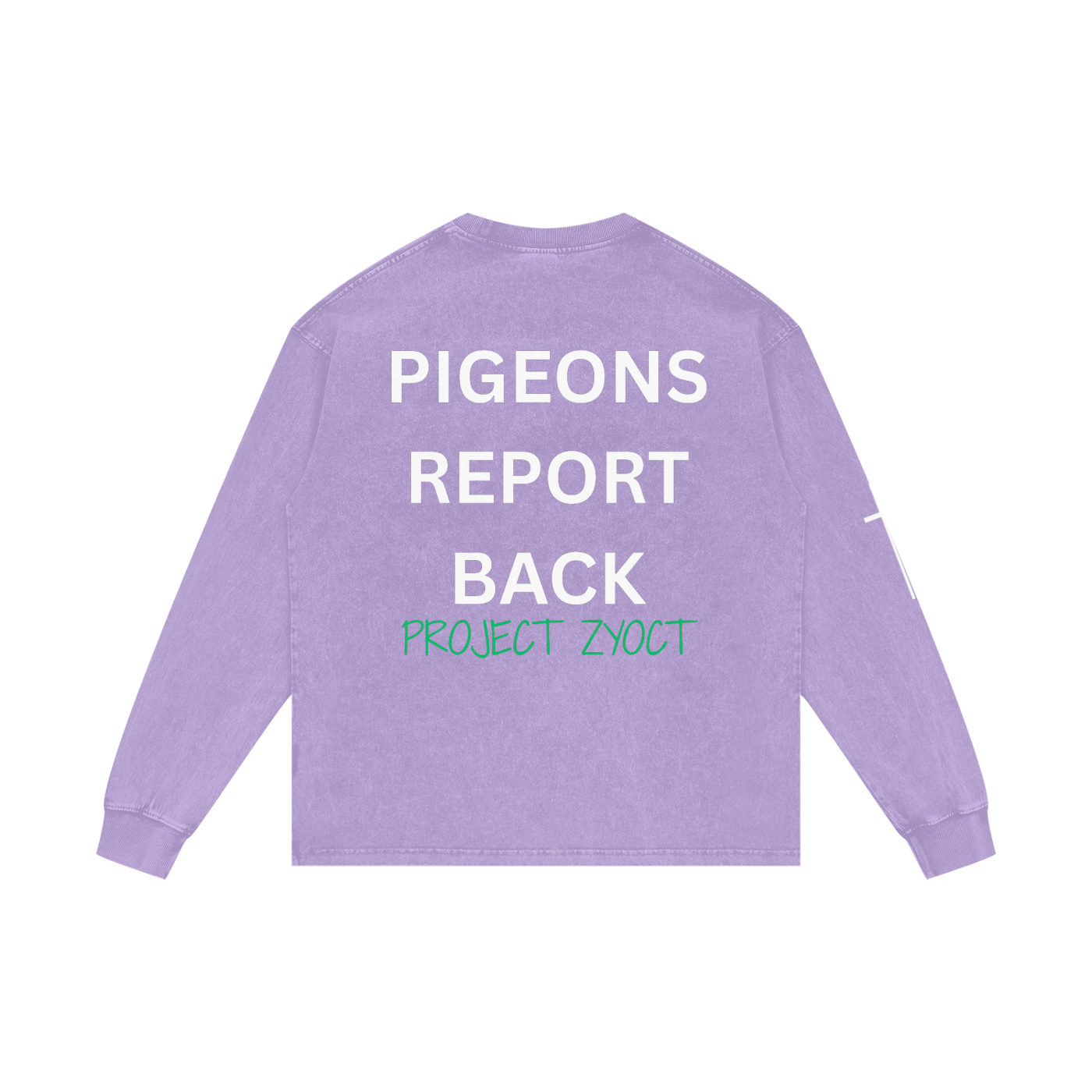 "Pigeons Report Back" Acid Wash Long Sleeve