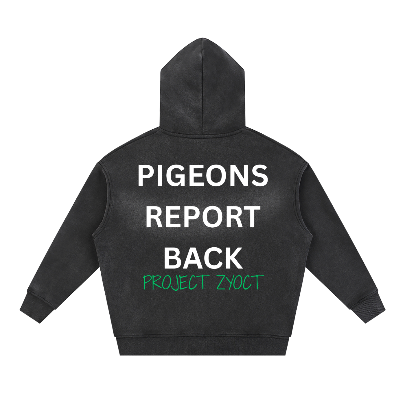 "Pigeons Report Back" Faded Zipper Hoodie