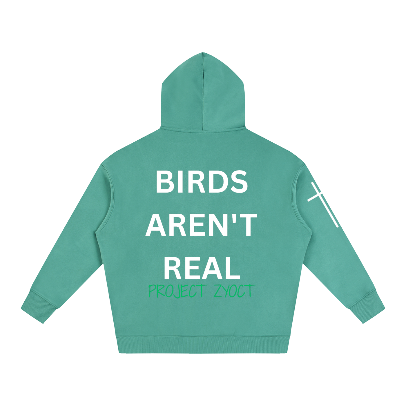 "Birds Aren't Real" Oversize Hoodie