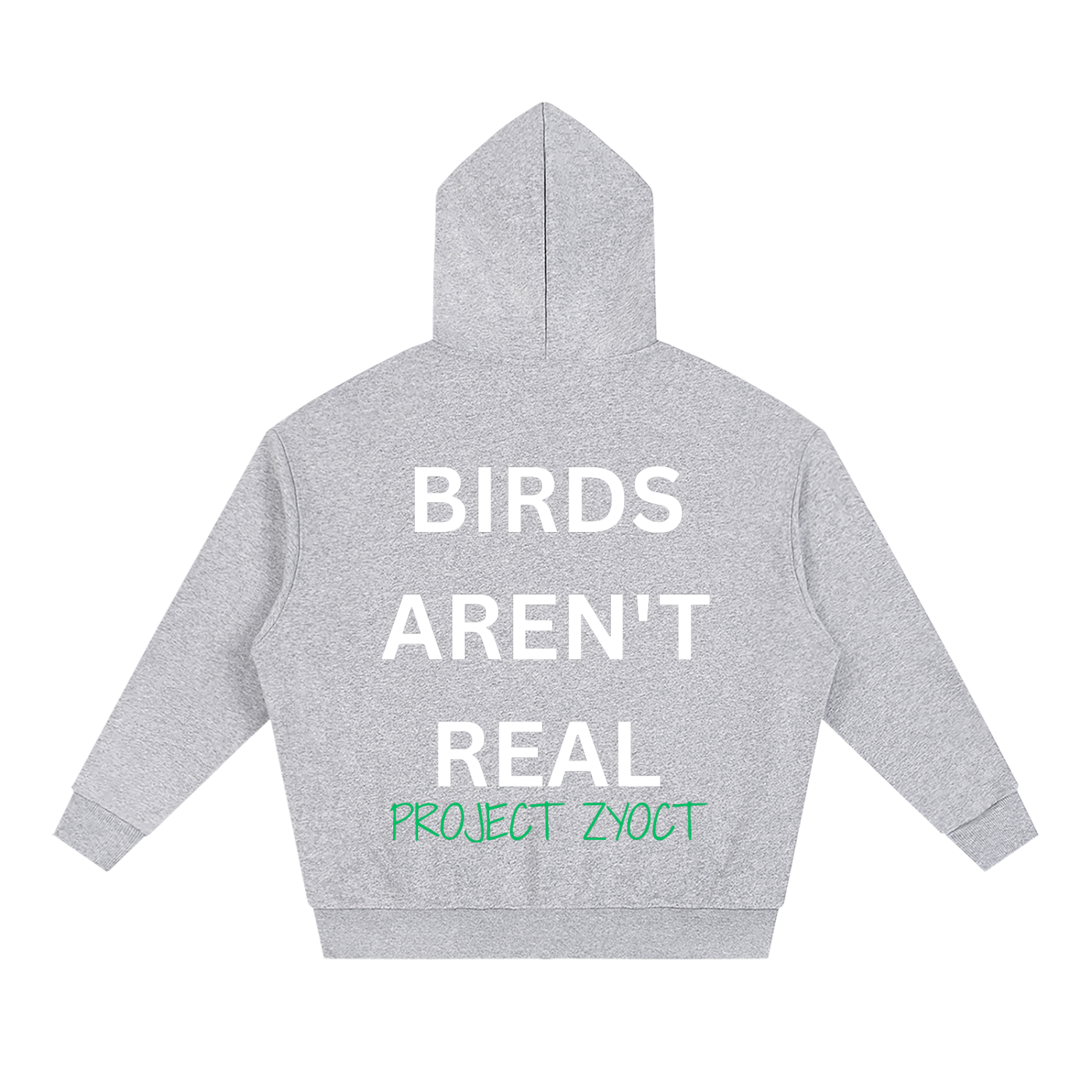"Birds Aren't Real" Full Zip Hoodie