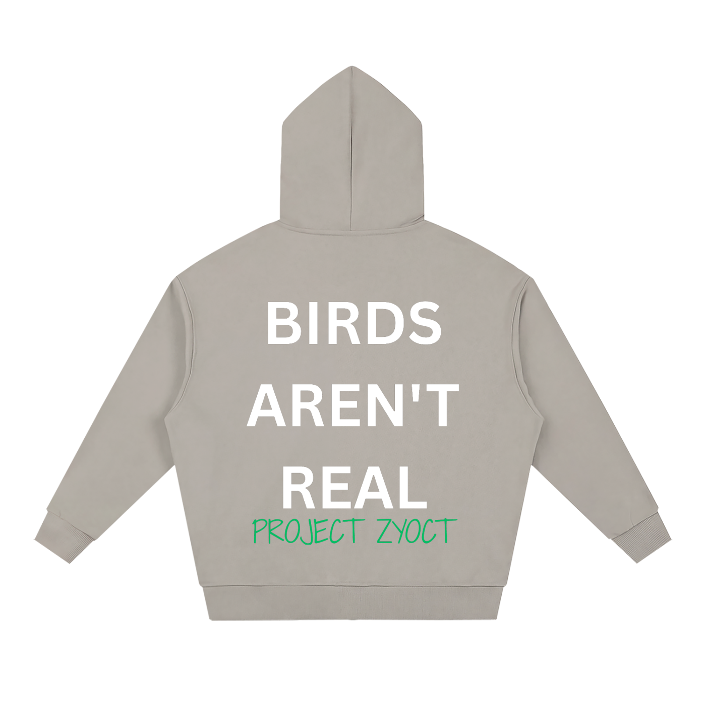 "Birds Aren't Real" Full Zip Hoodie