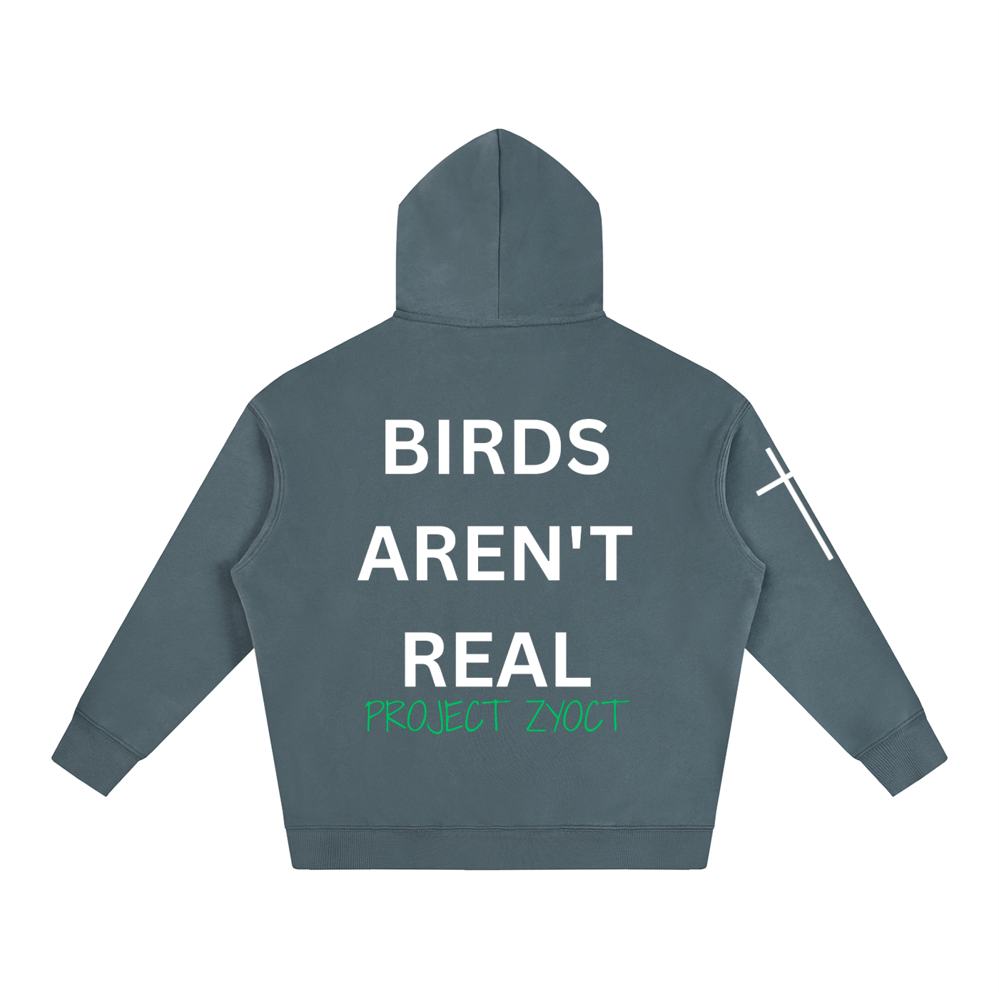 "Birds Aren't Real" Oversize Hoodie