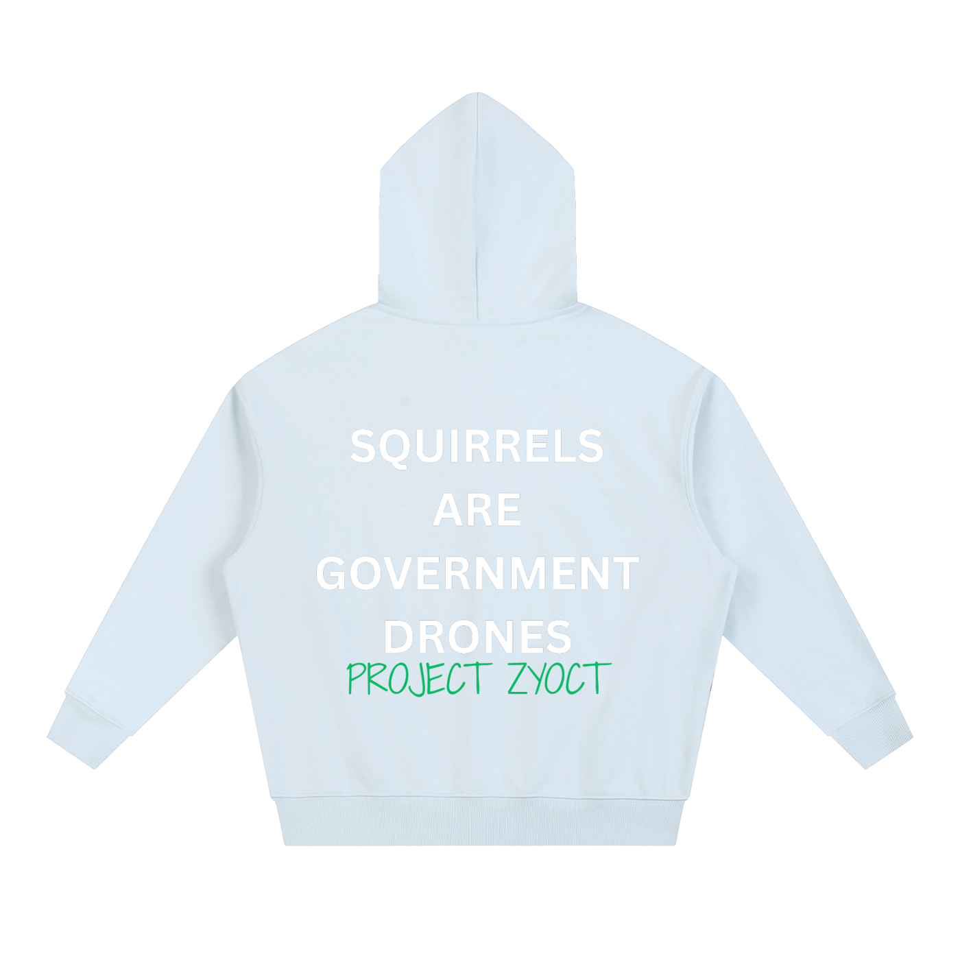 "Squirrels Are Government Drones" Heavyweight Hoodie