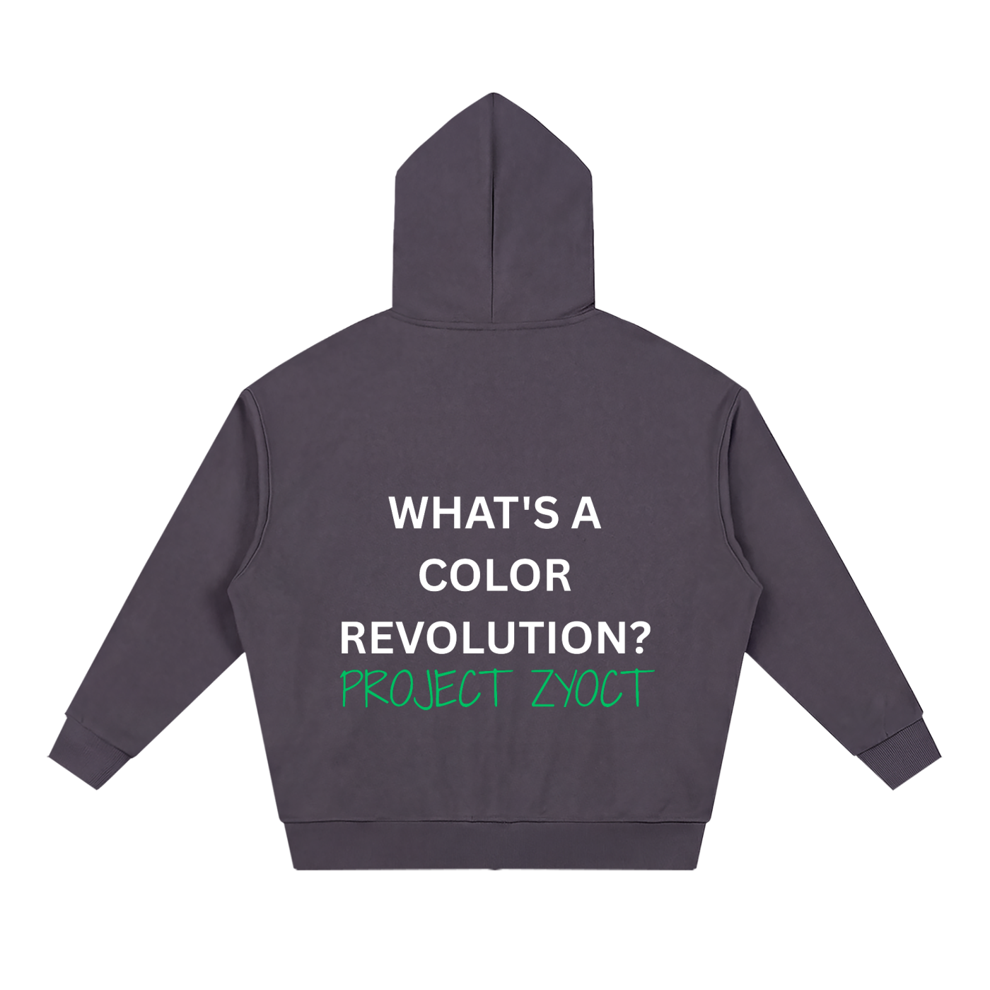 "What's a Color Revolution?" Full Zip Hoodie