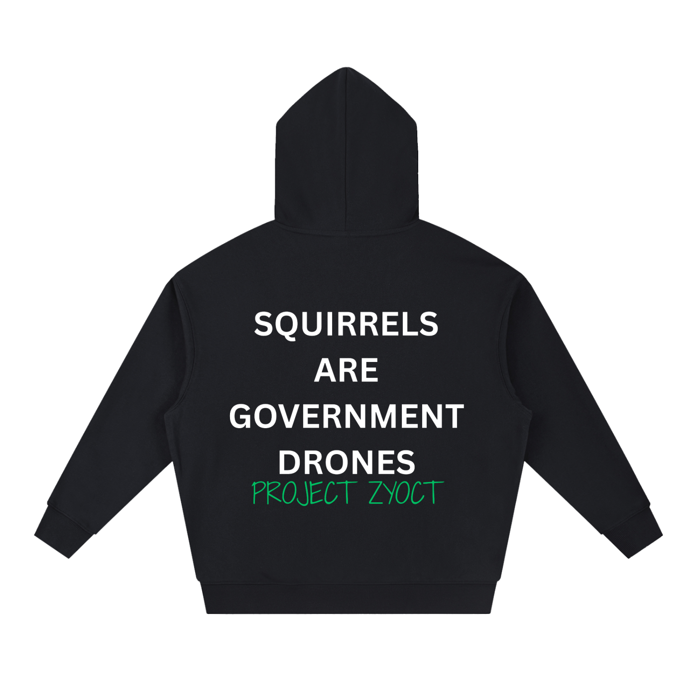 "Squirrels Are Government Drones" Heavyweight Hoodie