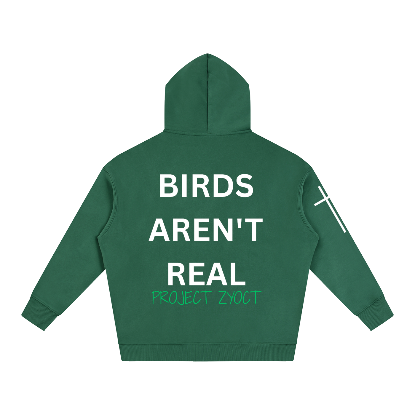 "Birds Aren't Real" Oversize Hoodie
