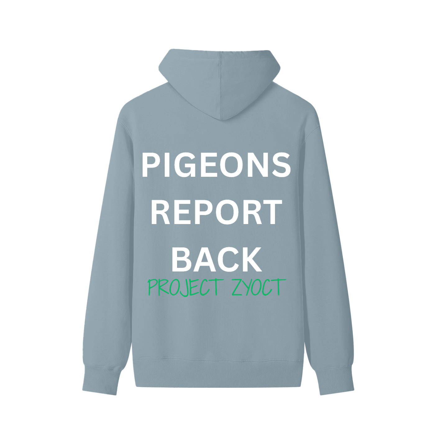 "Pigeons Report Back" Classic Cotton Hoodie