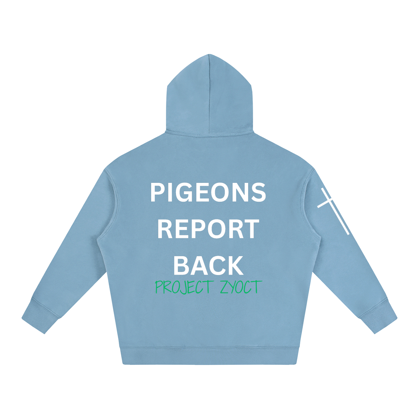 "Pigeons Report Back" Oversize Hoodie