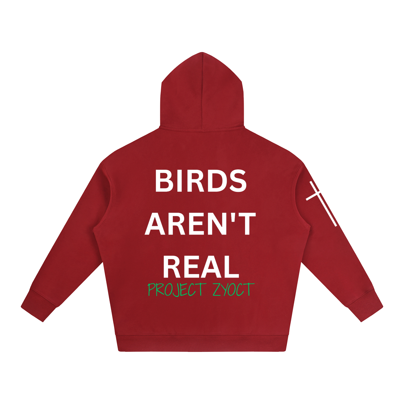 "Birds Aren't Real" Oversize Hoodie