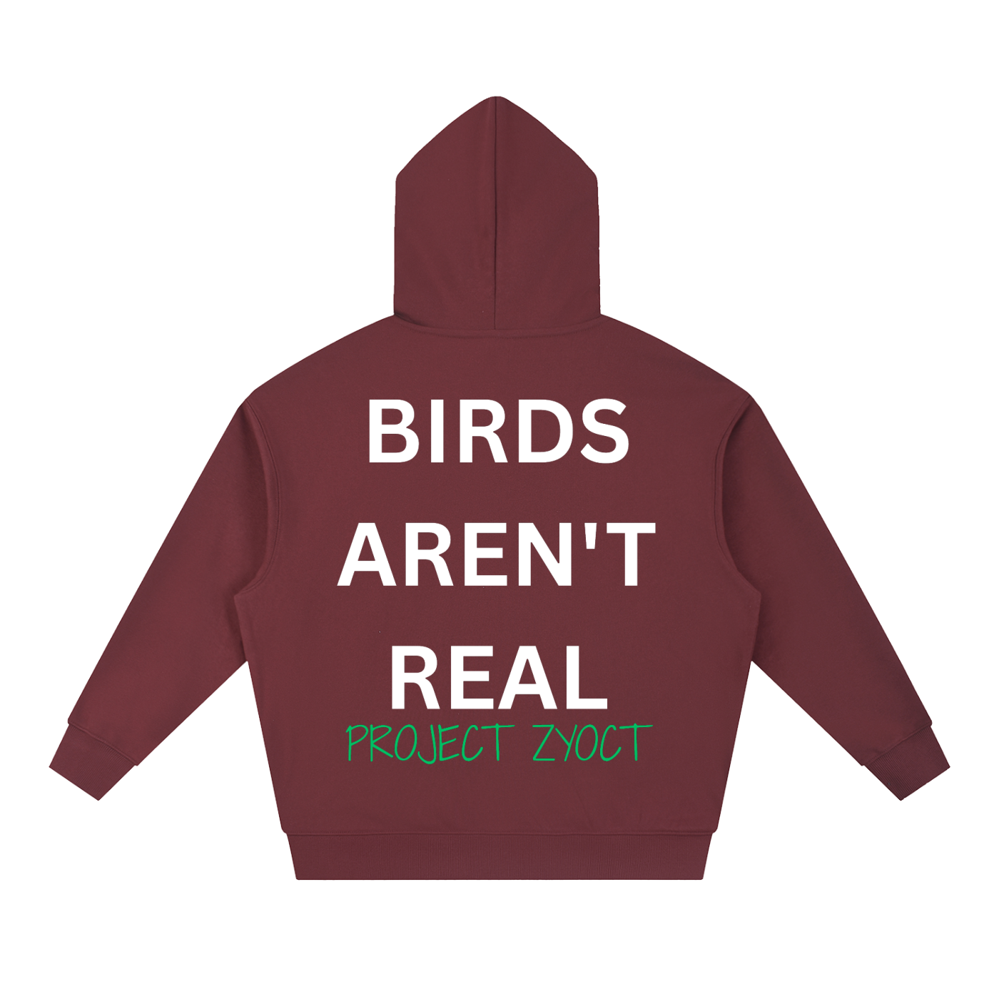 "Birds Aren't Real" Heavyweight Hoodie