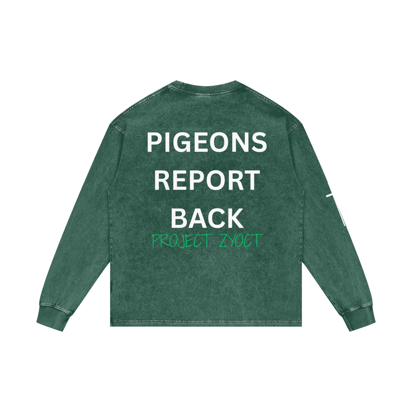 "Pigeons Report Back" Acid Wash Long Sleeve