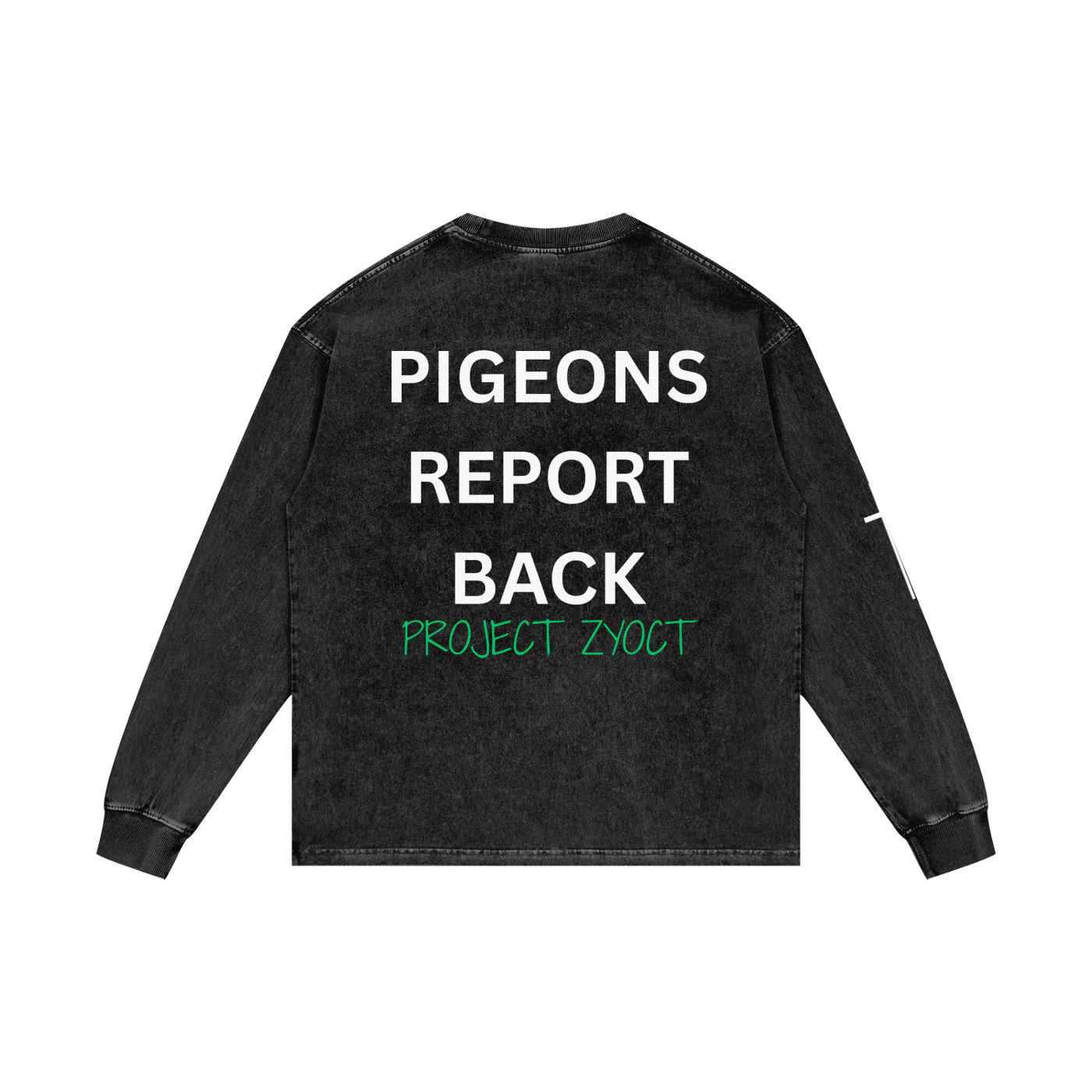 "Pigeons Report Back" Acid Wash Long Sleeve