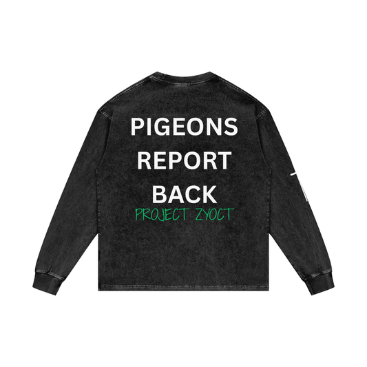 "Pigeons Report Back" Acid Wash Long Sleeve