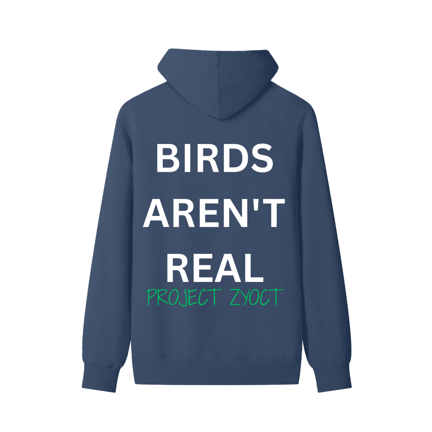 "Birds Aren't Real" Classic Cotton Hoodie