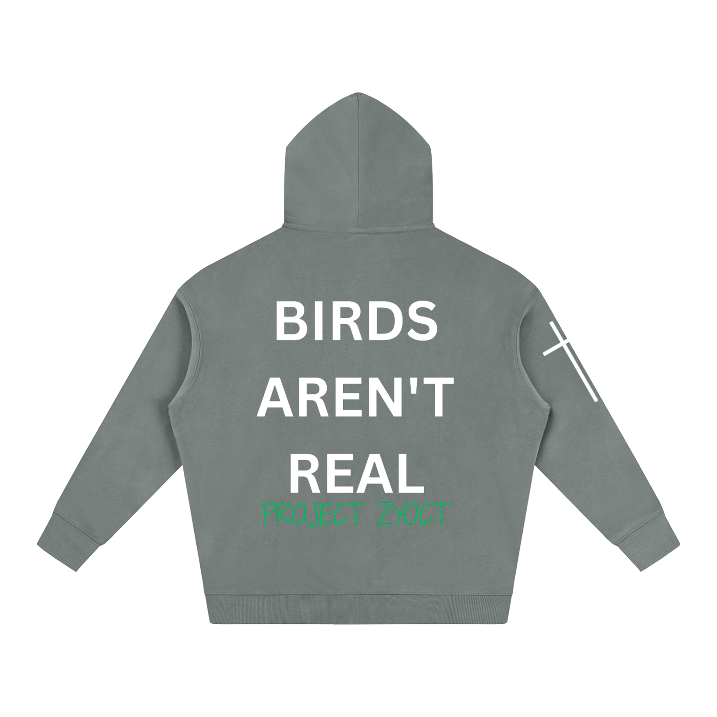 "Birds Aren't Real" Oversize Hoodie