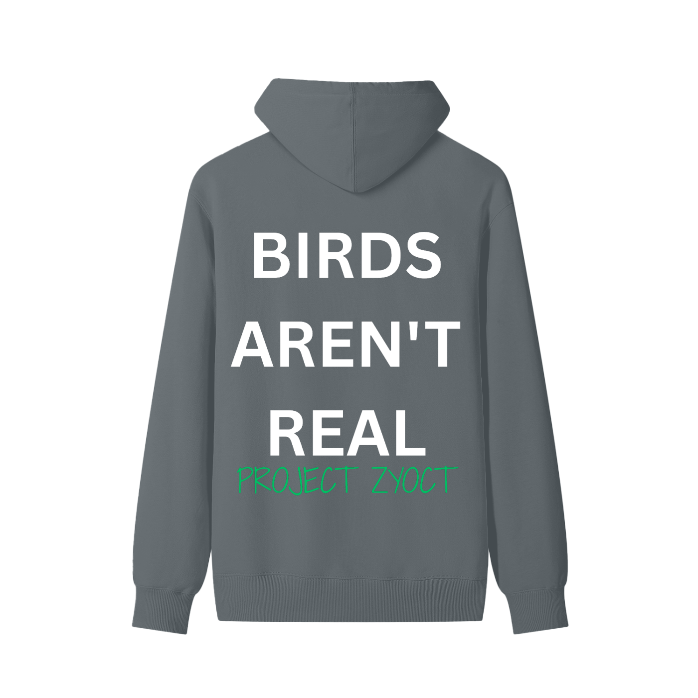 "Birds Aren't Real" Classic Cotton Hoodie