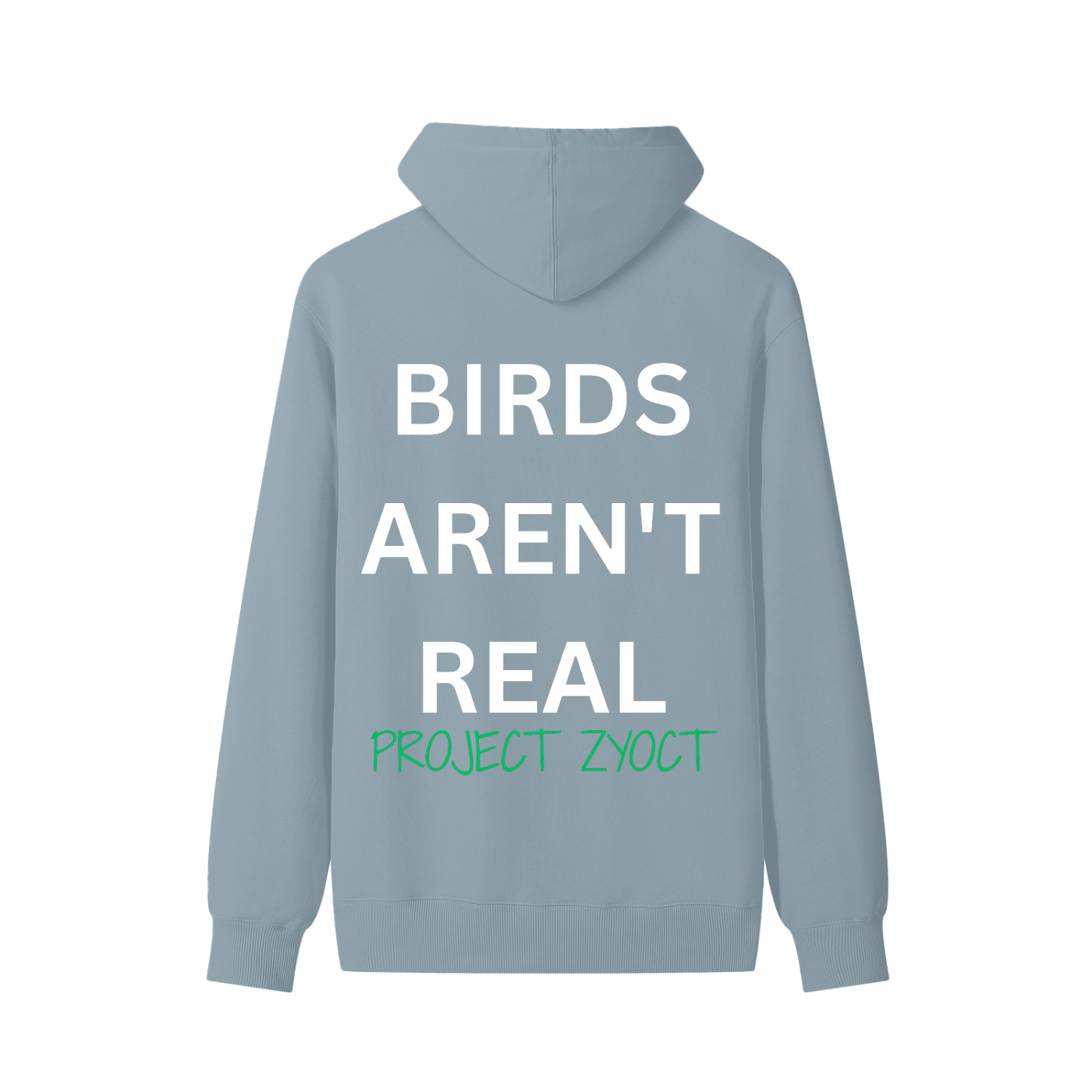 "Birds Aren't Real" Classic Cotton Hoodie