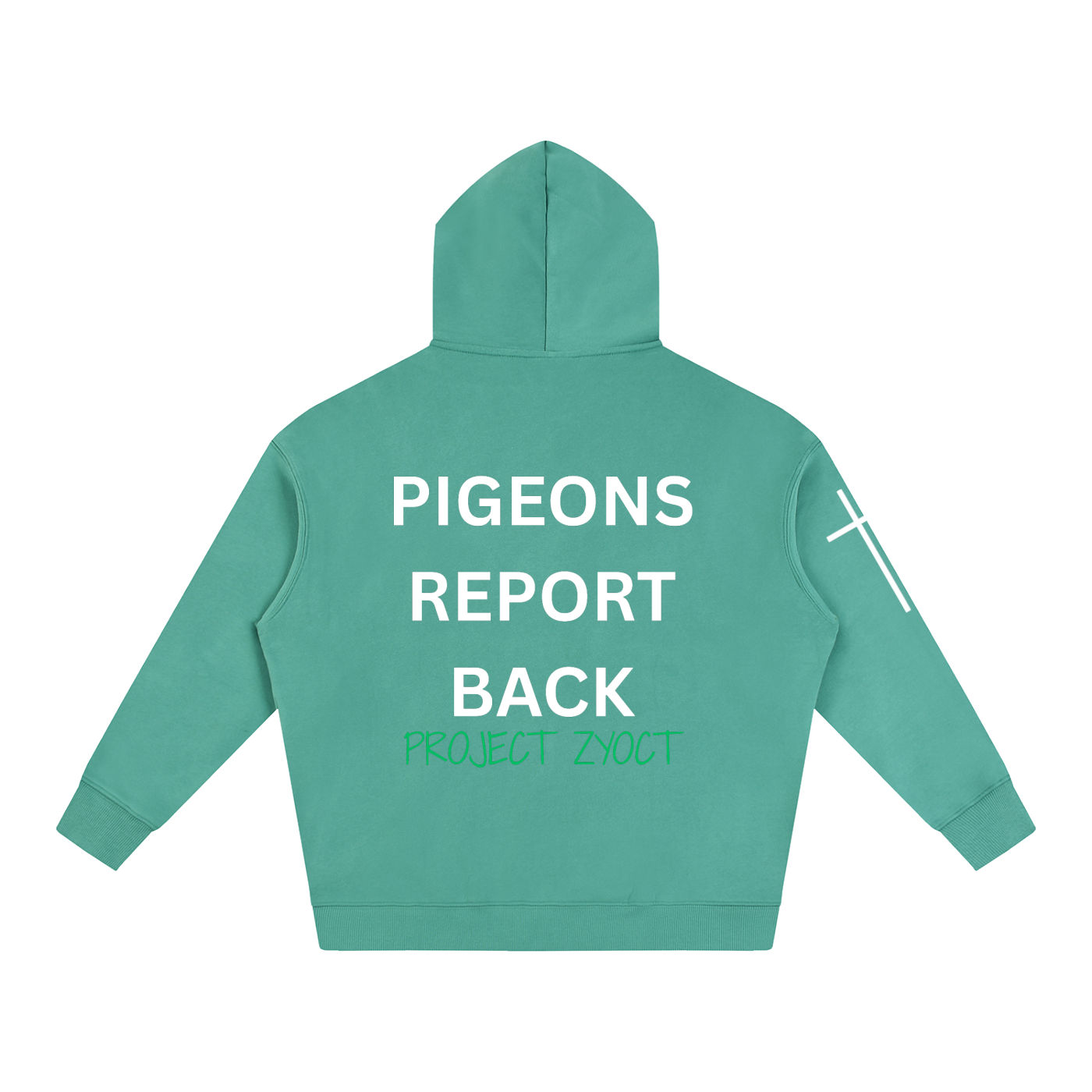 "Pigeons Report Back" Oversize Hoodie